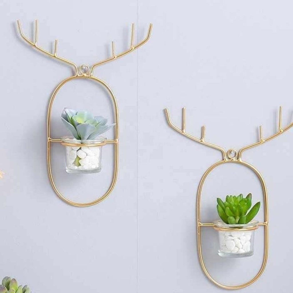 Deer Antler Wall Planter (Gold Frame)